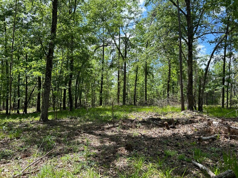 More Photos Of 2700 N Columbia St, Milledgeville Land For Sale