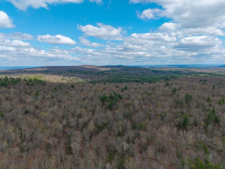 More Photos Of 291 Fomer Road, Southampton Land For Sale