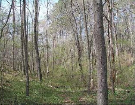 More Photos Of 0 Jonesboro Rd, Fairburn Land For Sale