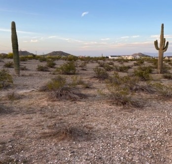 Primary Photo Of 28951 N Queen Bee Ln, Queen Creek Land For Sale