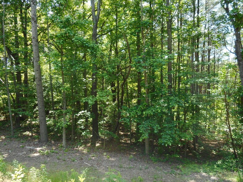 More Photos Of 00 Holly St, Canton Land For Sale