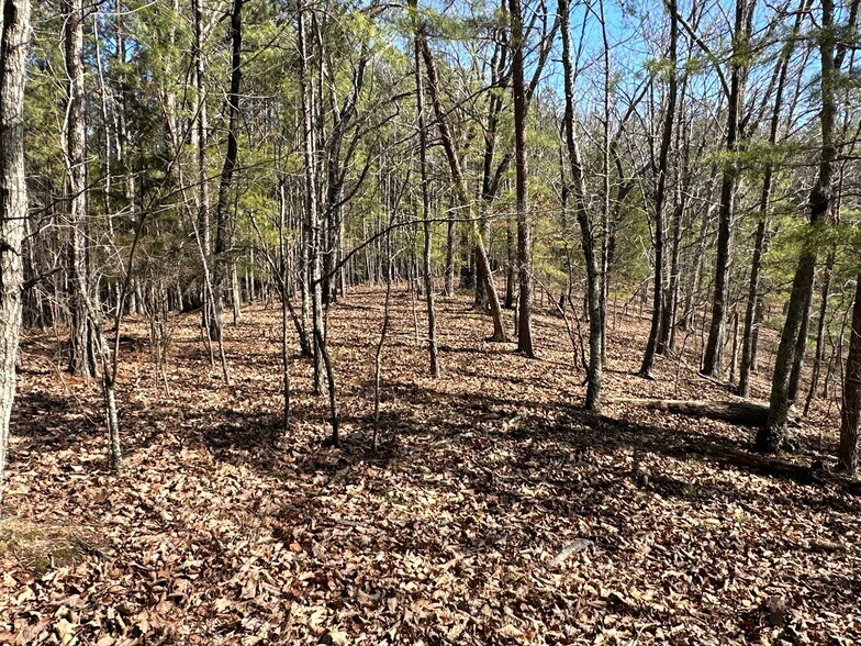 More Photos Of 3472 Prior Station Rd, Cedartown Land For Sale