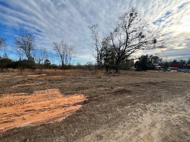 More Photos Of 52000 Block US-31 Hwy, Perdido Land For Sale