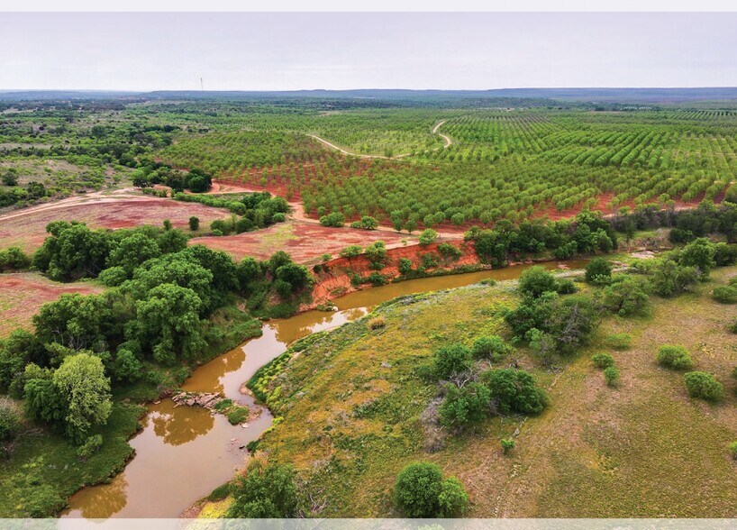 More Photos Of 450 County Road 417, Goldthwaite Land For Sale