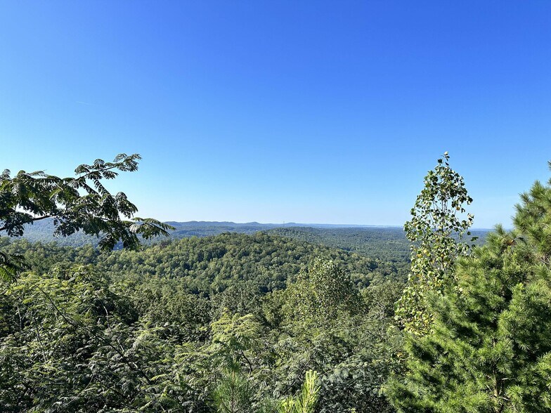 More Photos Of 6522 Old Springville Rd, Pinson Land For Sale