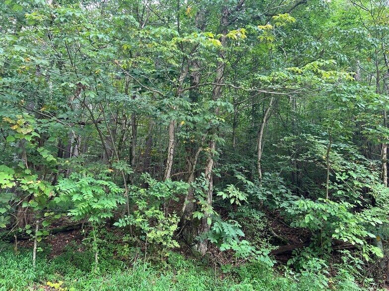 More Photos Of Pinyan, Ranger Land For Sale