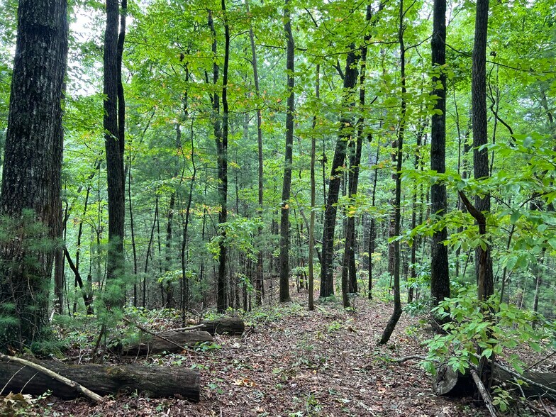 More Photos Of Whitecliff Drive, Ellijay Land For Sale