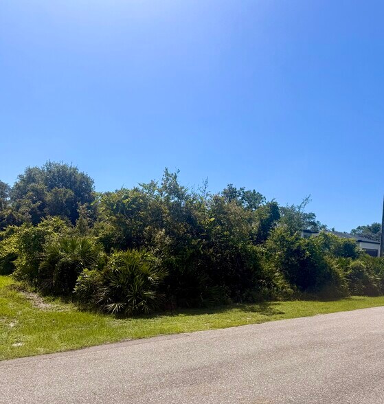 Primary Photo Of 2228 Wakefield St, Port Charlotte Land For Sale
