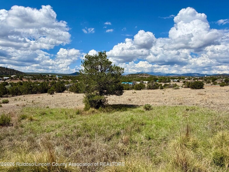 More Photos Of 104 Aspen Dr, Capitan Manufactured Housing Mobile Home Park For Sale