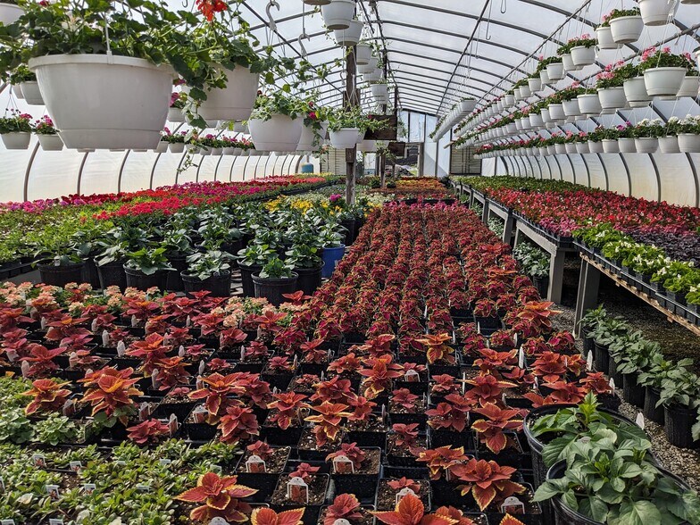 More Photos Of 73 Little York Rd, Warwick Garden Center For Sale