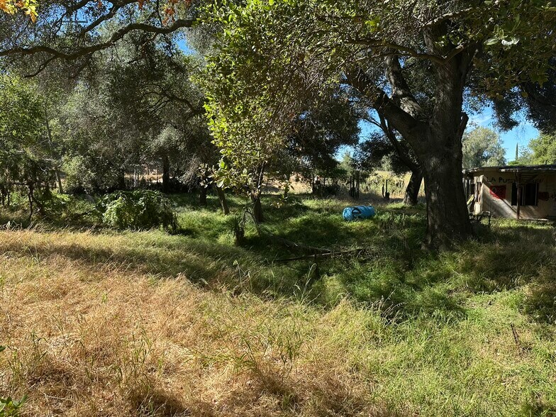 More Photos Of 1528 Olivewood Ln, Alpine Land For Sale