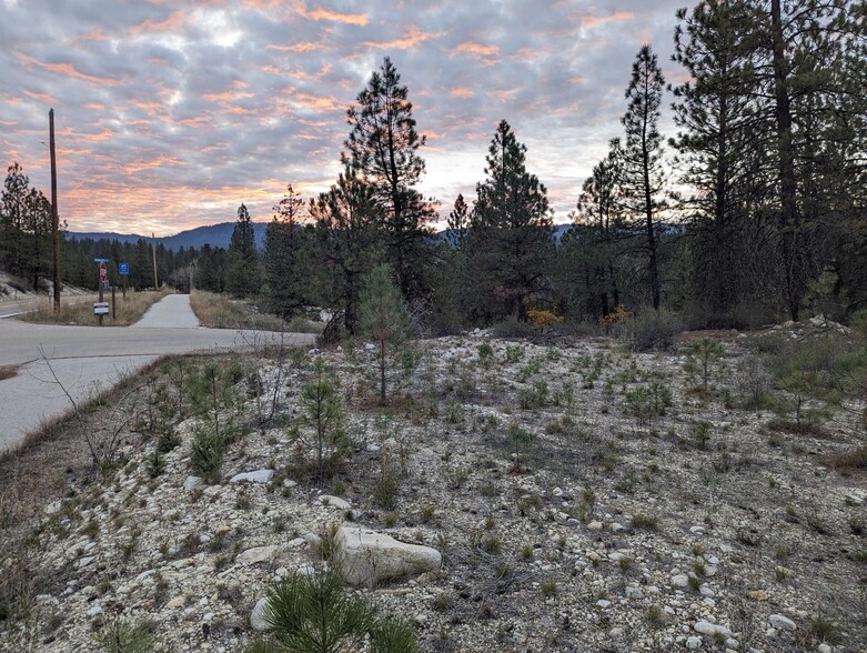 Primary Photo Of TBD Highway 21, Idaho City Land For Sale