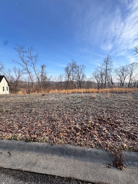 More Photos Of Willis Lane, Pea Ridge Land For Sale
