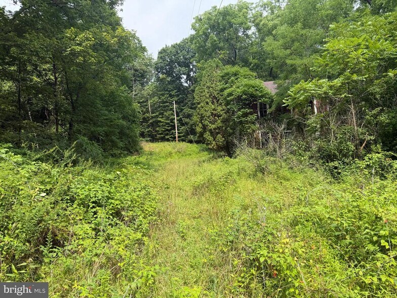 More Photos Of Schenck Road, Wells Tannery Land For Sale