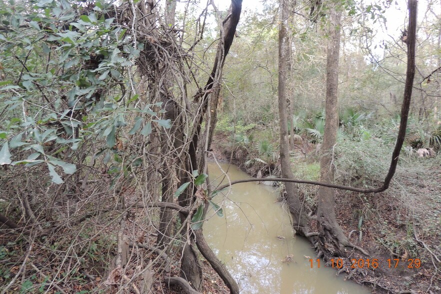 More Photos Of 6545 Fm 149 Rd, Montgomery Land For Sale