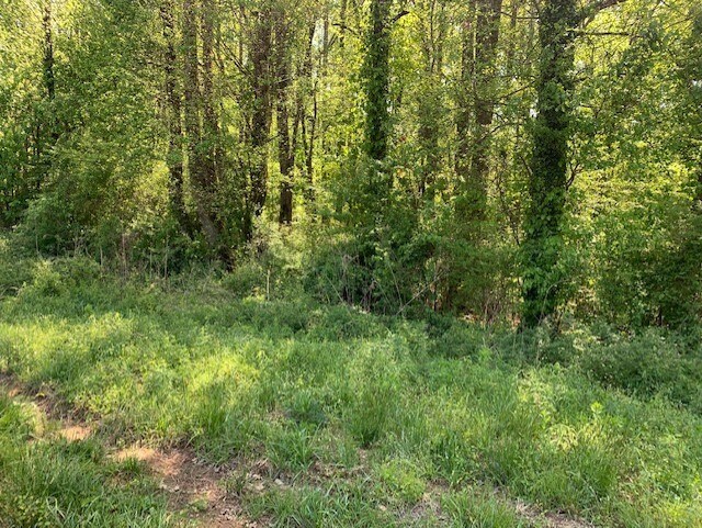 More Photos Of 5781 Thompson Bridge, Murrayville Land For Sale