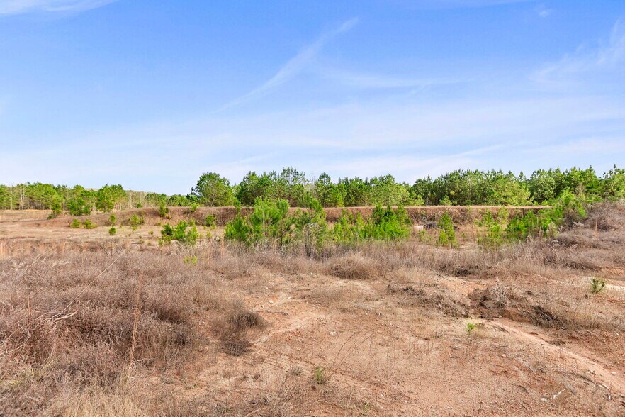 More Photos Of 16.31+/- AC Franklin Parkway Franklin GA 30217, Franklin Land For Sale