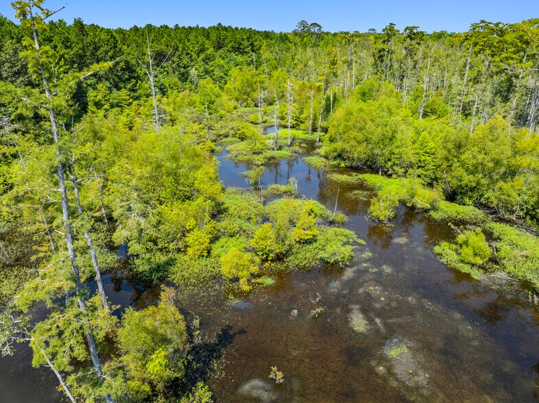 More Photos Of 7471 Highway 155, Saline Land For Sale