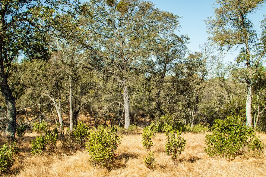 More Photos Of 4471 Buena Vista Rd, Ione Land For Sale