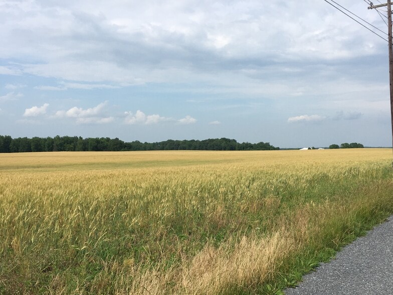 Primary Photo Of 11670 Carroll Clark Rd, Massey Land For Sale