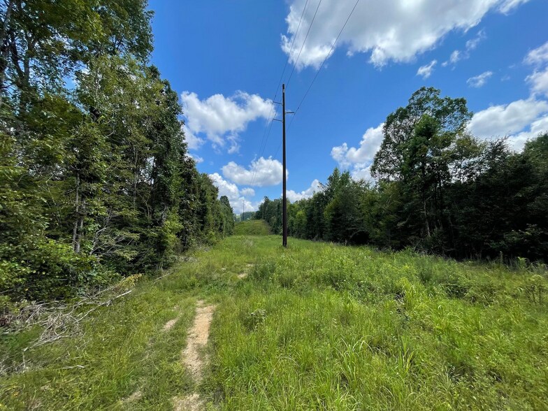More Photos Of 23034 Highway 25, Columbiana Land For Sale
