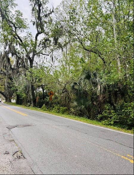 More Photos Of 0 Bonaventure Rd, Savannah Land For Sale