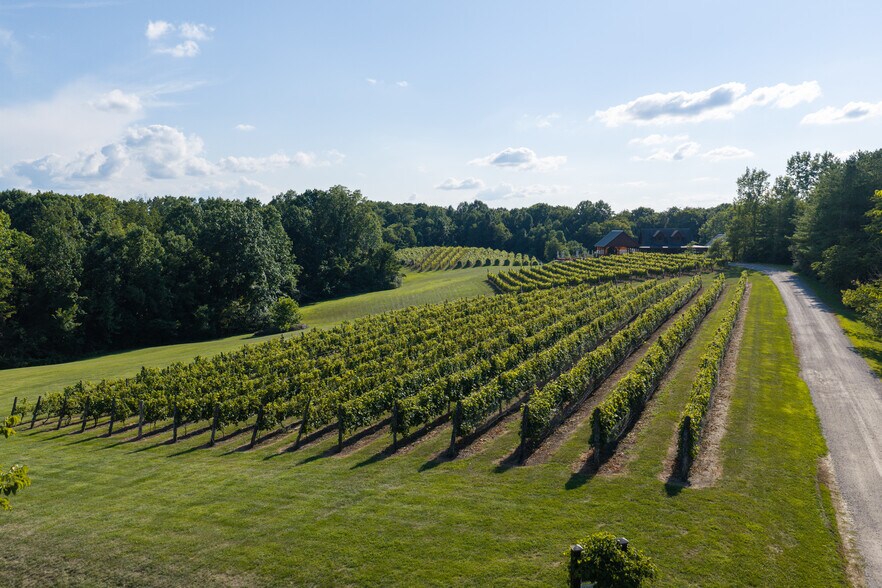 More Photos Of 401 Gilkey Ridge Rd, Shade Winery Vineyard For Sale
