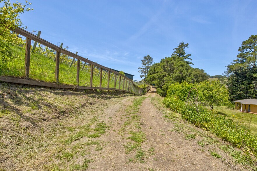 More Photos Of 5090 La Honda Rd, San Gregorio Land For Sale