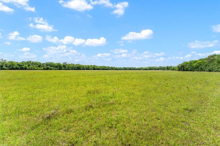 More Photos Of 10840 FM 442, Boling Land For Sale