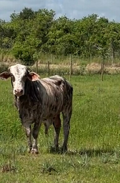 More Photos Of 2105 86th Ave SW, Vero Beach Land For Sale