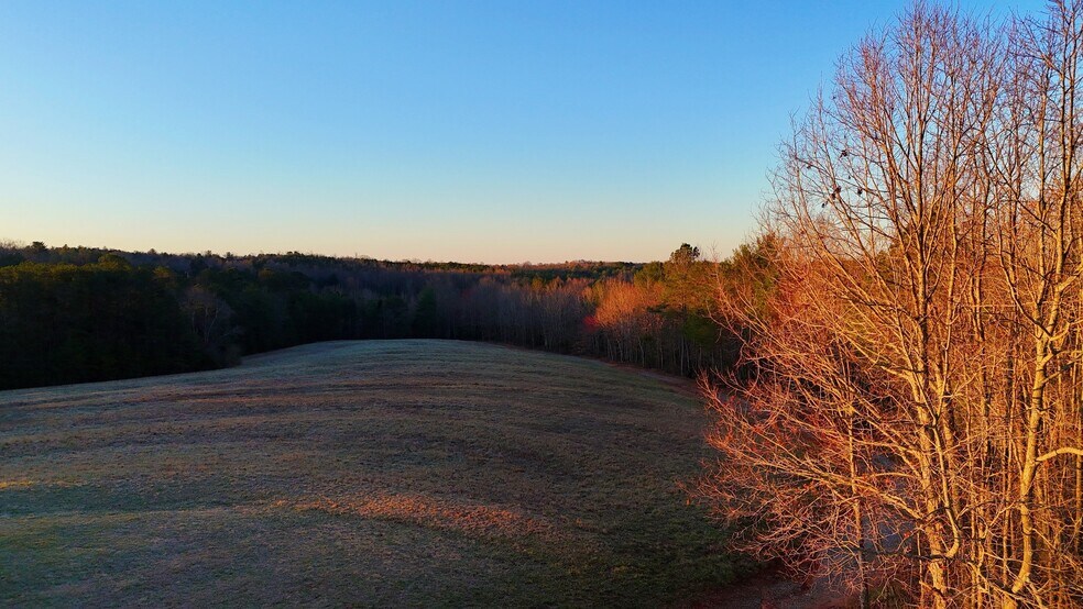 More Photos Of 142 Mace Rd, Casar Land For Sale