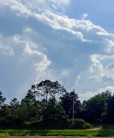 More Photos Of , Zephyrhills Land For Sale