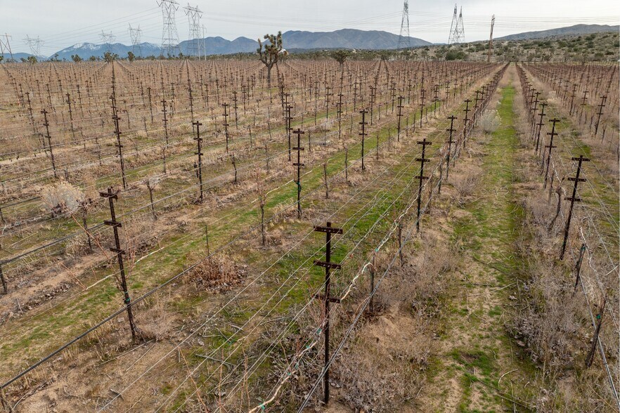 More Photos Of Fort Tejon Rd, Littlerock Land For Sale