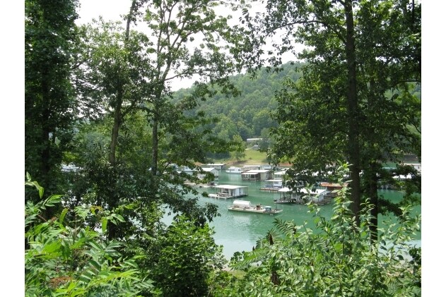 More Photos Of 680 Blue Springs Rd, Speedwell Marina For Sale