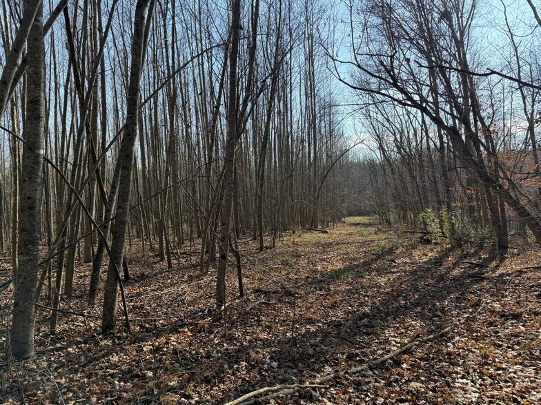 More Photos Of 4604 Summersville Rd, Campbellsville Land For Sale