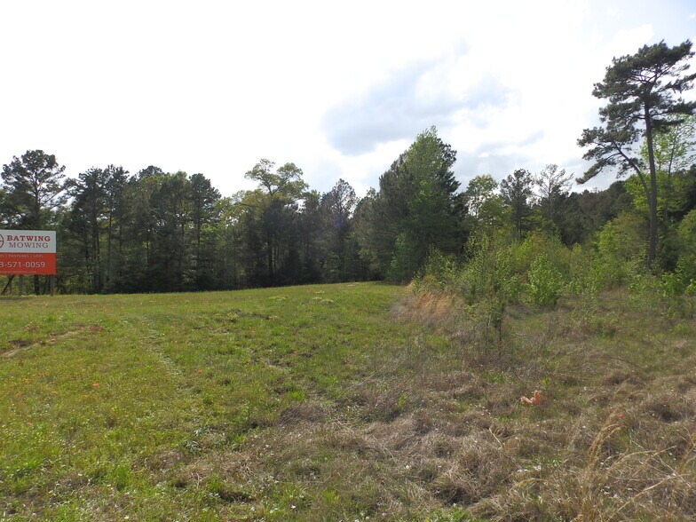 More Photos Of 19522 HWY 155, Flint Land For Sale