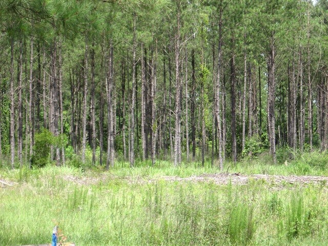 Primary Photo Of Railroad, Mc Lain Land For Sale