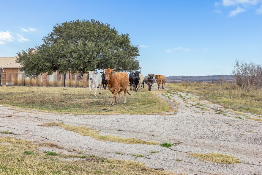 More Photos Of 2884 Political Rd, Lockhart Land For Sale