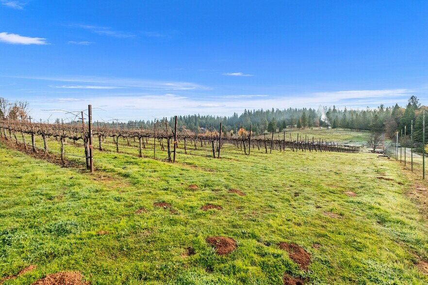 More Photos Of 2635 Cleese Rd, Camino Land For Sale