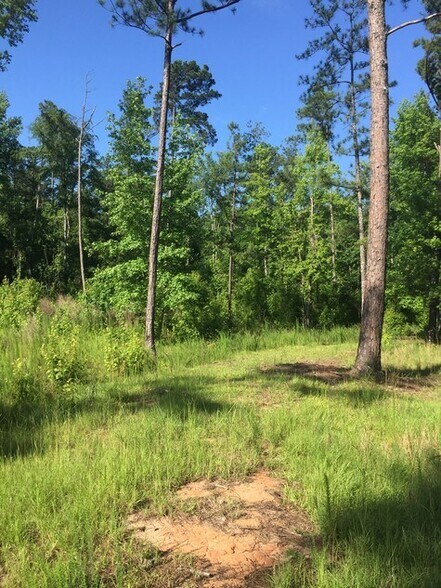 More Photos Of 9139 Veterans Parkway, Fortson Land For Sale