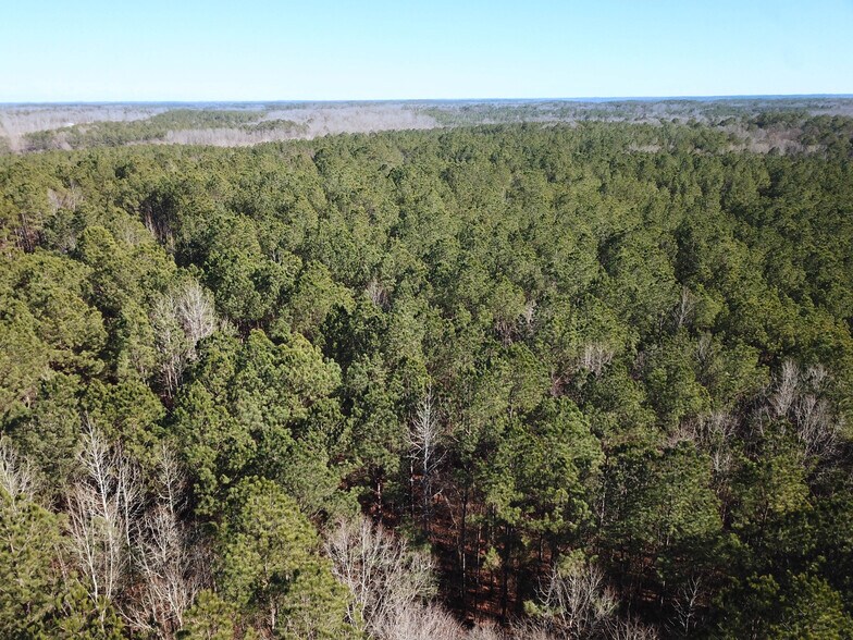 More Photos Of County Road 4141, New Site Land For Sale
