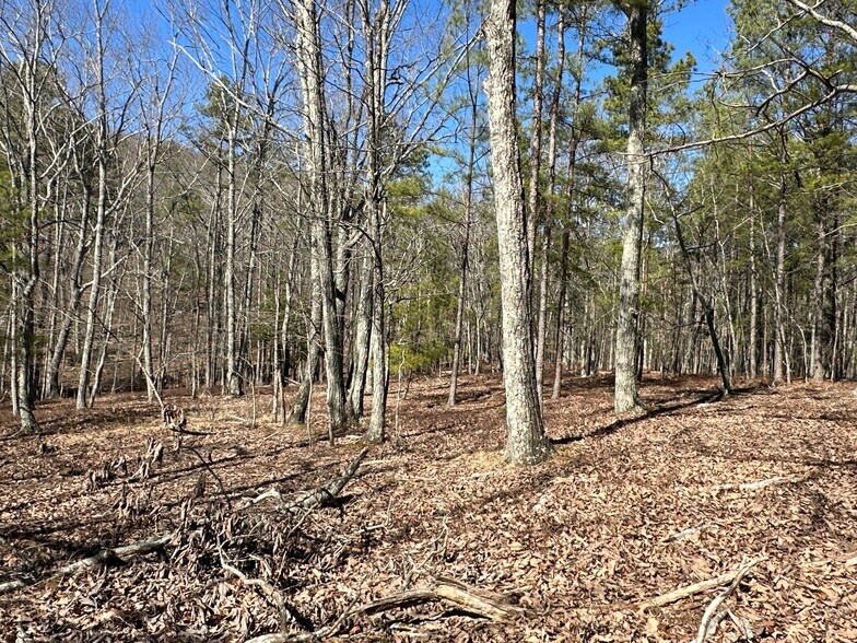 More Photos Of 3472 Prior Station Rd, Cedartown Land For Sale