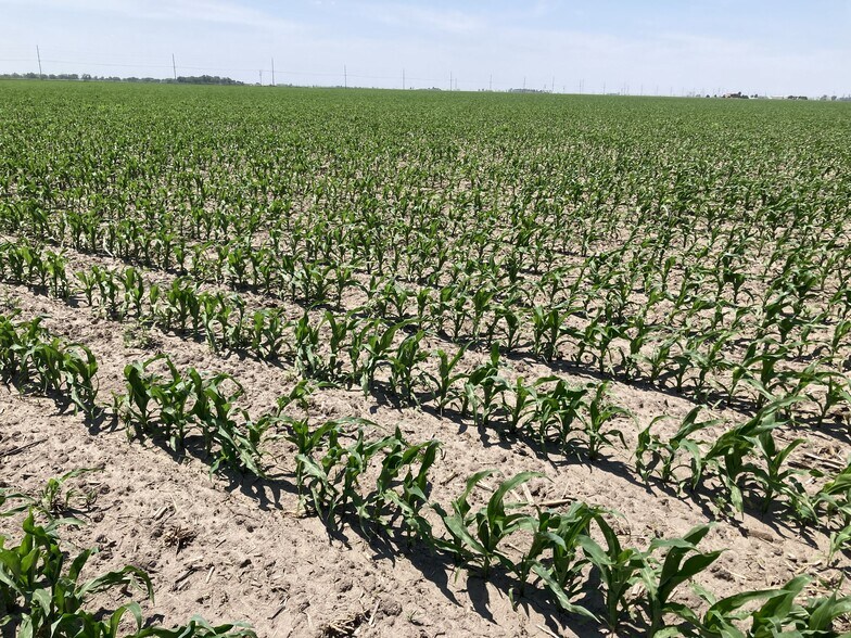 More Photos Of W. Schultz Road, Wood River Land For Sale