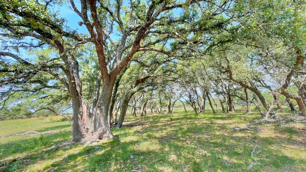 More Photos Of County Road 253, Bertram Land For Sale