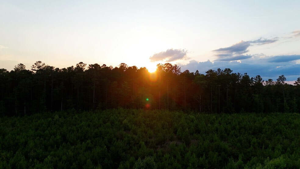 Primary Photo Of 00 Kennedy Rd, Winnsboro Land For Sale