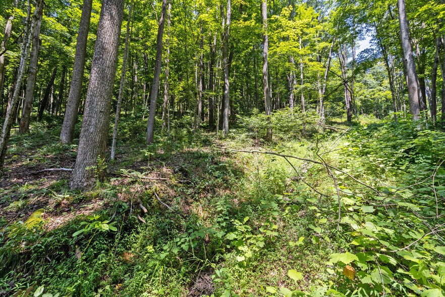 More Photos Of 24272 CONRAD Rd, Laurelville Land For Sale