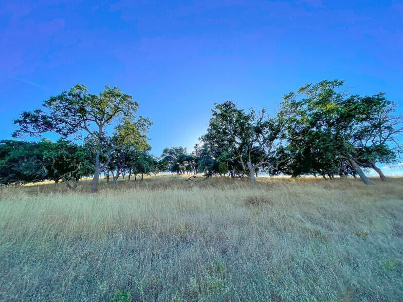 More Photos Of 0 E. 41 Hwy, Templeton Land For Sale