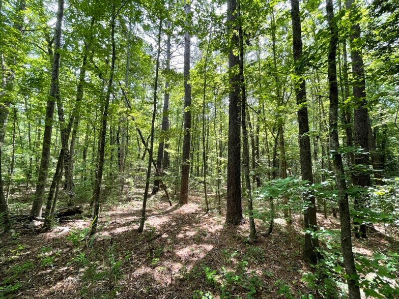 More Photos Of 229 Colbert Bridge Road, Windsor Land For Sale