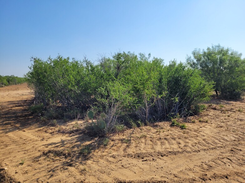 More Photos Of , Laredo Land For Sale