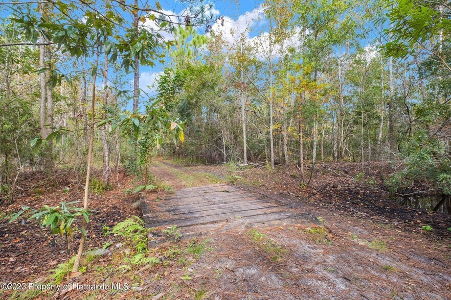 More Photos Of 0 Algood Rd, Spring Hill Land For Sale
